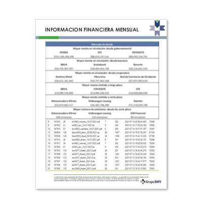 BOLSA MEXICANA DE VALORES INFORMACIÓN FINANCIERA MENSUAL DE APASCB